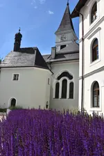 Stadtpfarrkirche Wörgl, Süd-Ost-Ansicht mit violett blühenden Gräsern